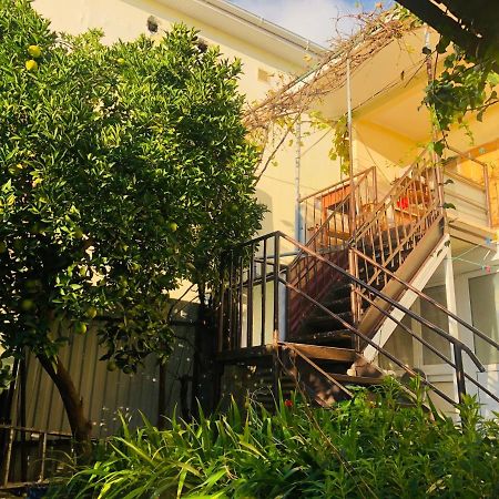 Гостевой Дом «Лиза» Gagra Exterior photo