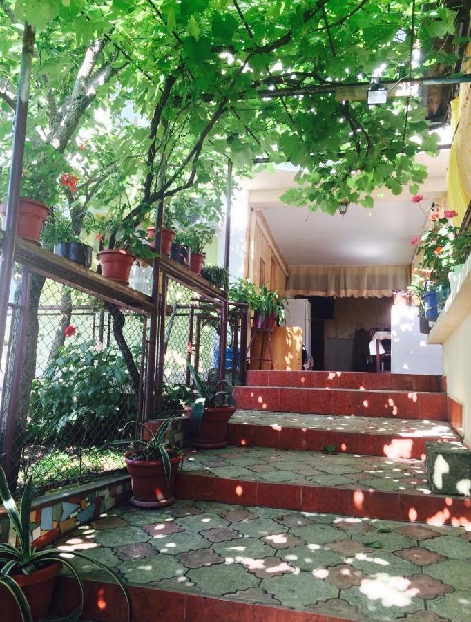 Гостевой Дом «Лиза» Gagra Exterior photo
