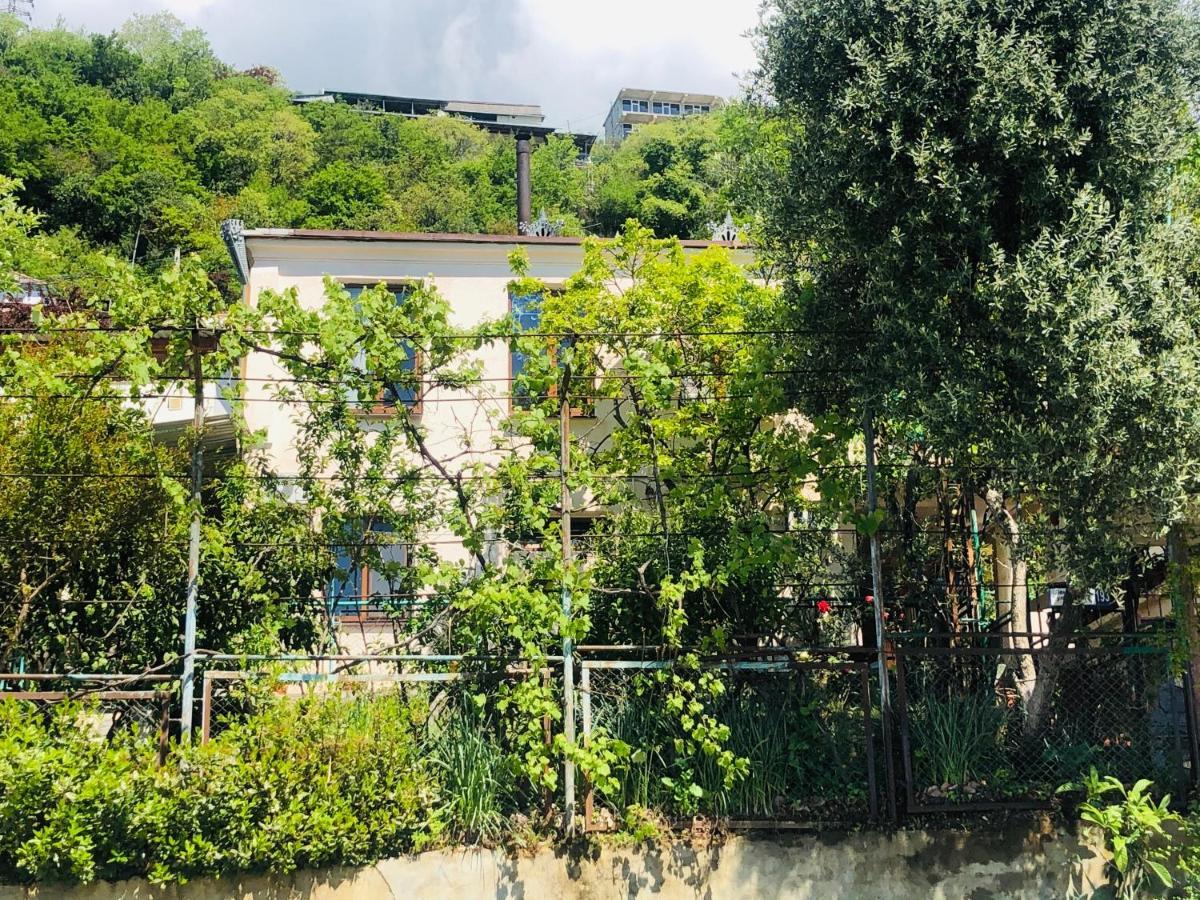Гостевой Дом «Лиза» Gagra Exterior photo